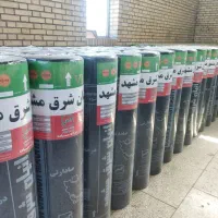 ایزوگام شرق