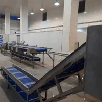 استخدام کارگر مرغ خرد کن(چاقو کاری)درفیکو|استخدام صنعتی، فنی، مهندسی|شیرود, |دیوار