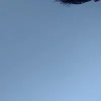 لوله ۶۳ استاندارد