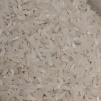 برنج چمپه به شرط مستقیم از کشاورز