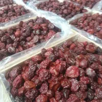 قیمت فقط 250|خوردنی و آشامیدنی|نیشابور, شهرک اندیشه|دیوار