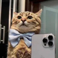 گوشی طرح s24الترا