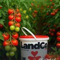 استخدام حسابدار