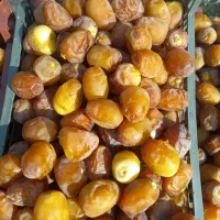 رطب فروشی البو