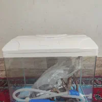 آکواریوم شرکتی