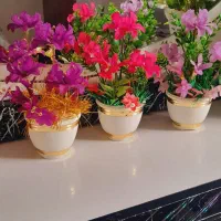 ابغوره|خوردنی و آشامیدنی|یاسوج, |دیوار