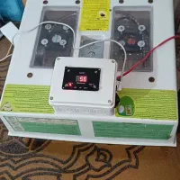 دستگاه جوجه کشی بهینه شده ۴۸ عددی حرفه ای