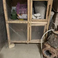 کجه قفس کبوتر