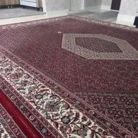 فرش|فرش|زنجان, |دیوار