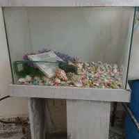 آکواریوم