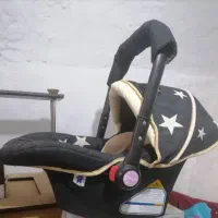 کریر نوزاد مارک دلیجان