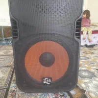 اسپیکر باند ۱۵ اینچ فوری