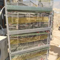 دستگاه جوجه کشی|لوازم جانبی حیوانات|لیکک, |دیوار