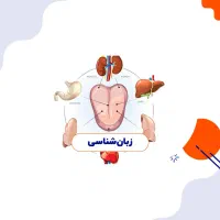 آموزش و درآمد با طب سنتی