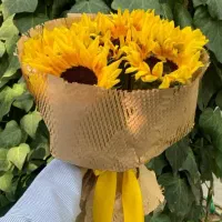 دسته گل آفتابگردون بقچه ایی|گل و گیاه طبیعی|تهران, ورزشگاه آزادی|دیوار