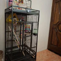 قفس پرنده|لوازم جانبی حیوانات|تهران, سوهانک|دیوار