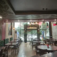 استخدام سالندار