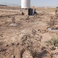 فروش زمین با قیمت عالی