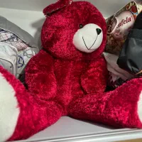 خرس یک متری