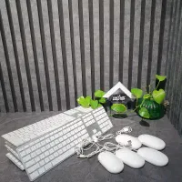 موس و کیبورد مجیک اپل/سرانت