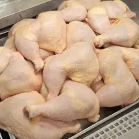 بمب پنجشنبه،ران فقط ۹۹