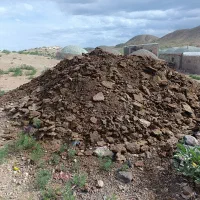 کوت گوسفند و مرغ