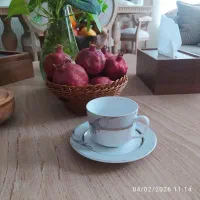 فنجان نعلبکی چینی زرین