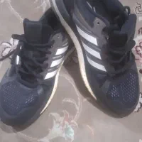 کاپشن تمیز|لباس|پاکدشت, پاکدشت (مامازند)|دیوار