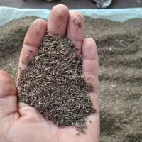 زیره سیاه کوهی کیلو ۸۵۰۰