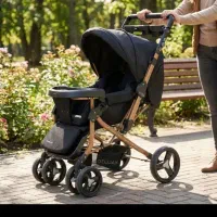 کالسکه دلیجان