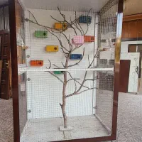 قفس چوبی پرنده بزرگ مرغ عشق طوطی برزیلی فنچ وغیره