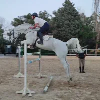 نیازمند کارگر اسب و باغ بهمراه خانواده