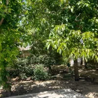 باغ-ویلا1520متری-گردو-مناسب-سفره-خانه-سنتی-درازناو
