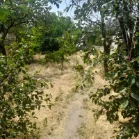 باغ ویلا کلنگی پر از درختان میوه ای .نمین|فروش زمین و ملک کلنگی|نمین, |دیوار