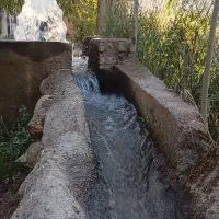 باغ۲۰هزارمتر/غرق درآب کاکارضادرخت۳۰ساله