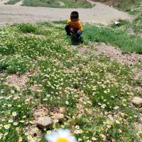 باغ-چهاردیواری