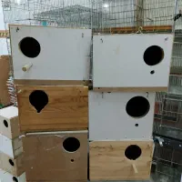 قفس و لانه پرنده|لوازم جانبی حیوانات|شهریار, شهرک بهاران (ویره)|دیوار