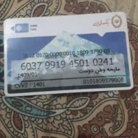 پیدا شدن مدارک ب اسم مدیحه وطن دوست