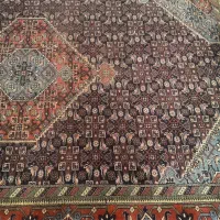 فرش طبیعی|فرش|اردبیل, |دیوار