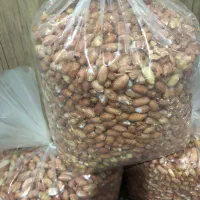 بادام زمینی|خوردنی و آشامیدنی|نسیمشهر, |دیوار