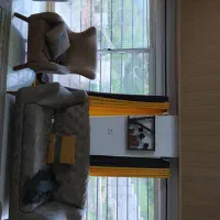 فروش ویلا مرزن آباد کجور|فروش خانه و ویلا|کجور, |دیوار