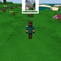 زمین کشاورزی 23هکتار