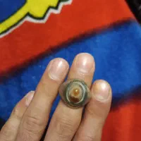 انگشتر رکاب فیلی