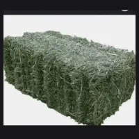 یونجه انباری
