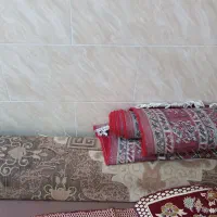 فرش ماشینی|فرش|بندر گناوه, |دیوار