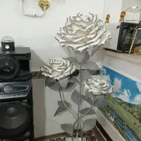 گل اباژور کنارسالنی|حراج|خرم‌آباد, |دیوار