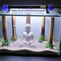 آکواریوم فایتر|ماهی|تهران, توحید|دیوار