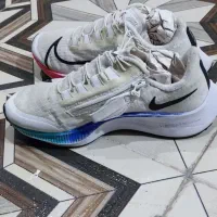 کفش استوک|کیف، کفش، کمربند|یاسوج, |دیوار