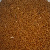 نخود قرمز تازه