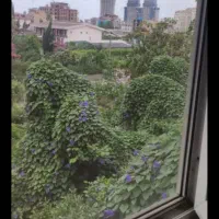 326متر-زمین-متل-قو